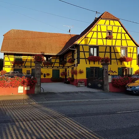 Appartement Spacieux 6 Personnes Andolsheim Exterior foto